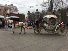 游乐设施-滴血救世主教堂