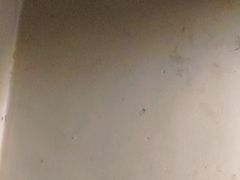 -四川美术馆