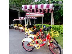 -河源万绿湖美思威尔顿酒店