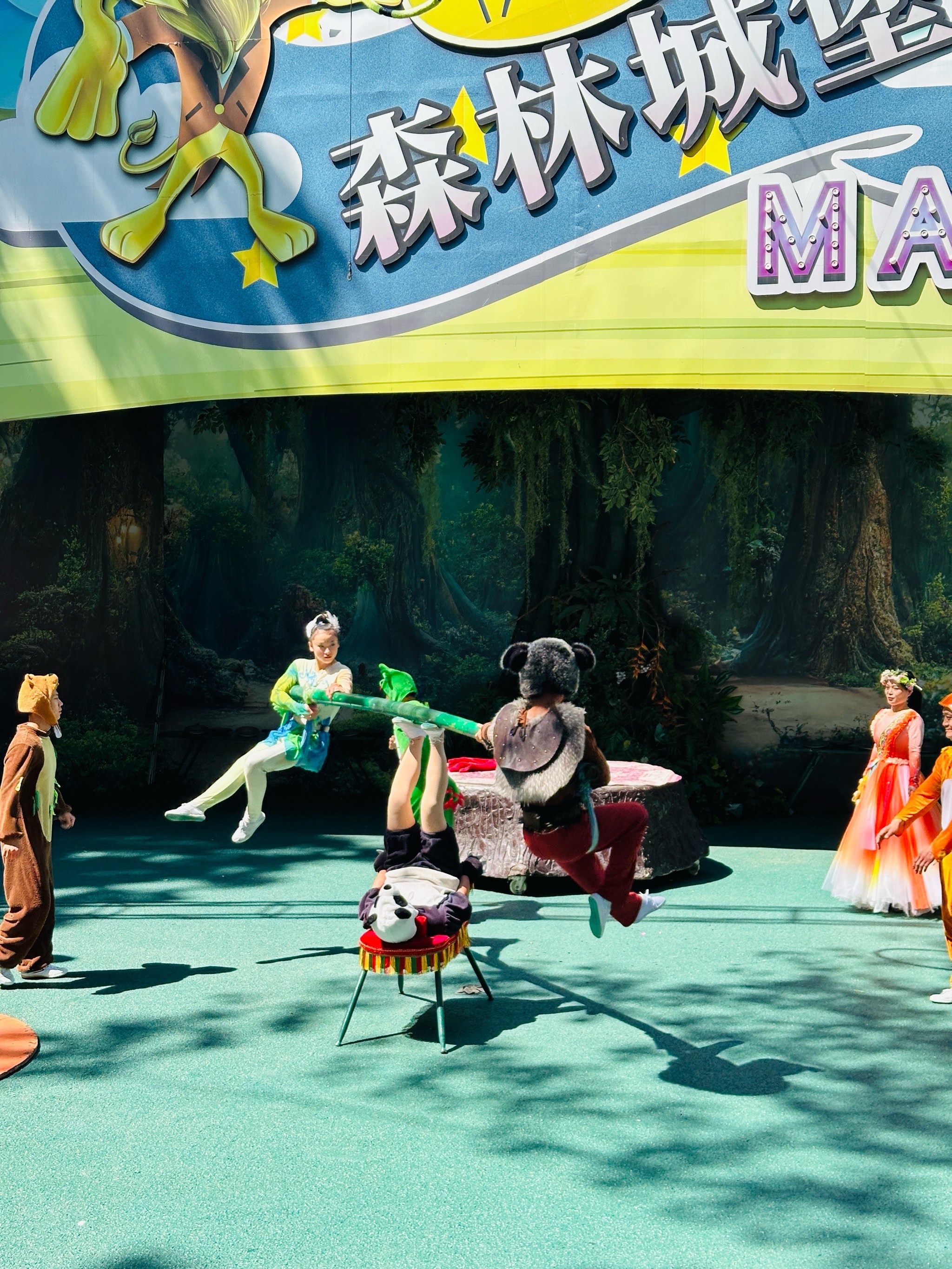 北京野生动物园不可错过的几场演出,快码住!