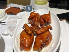 红烧乳鸽-陶陶居·雅园(凯华国际店)