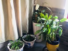 -三品尚院(贝勒府旧址店)