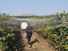 -万源龙顺度假庄园生态观光园