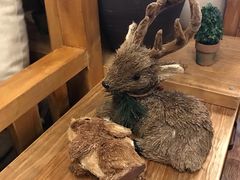 -MAX伯爵趣味互动密室逃脱(大坪D馆店)