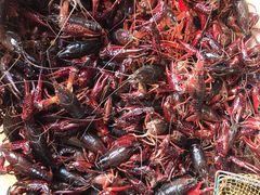 -七宝蔬菜农副产品综合交易市场-停车场