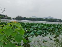-云龙湖旅游景区