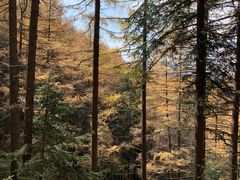 -管涔山