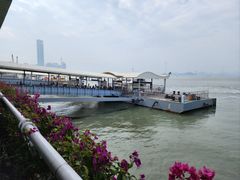 -厦门邮轮中心厦鼓码头(轮渡站)