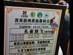 -西双版纳原始森林公园