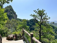 -王顺山国家森林公园