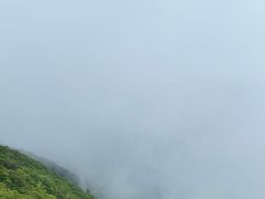 -大围山国家森林公园