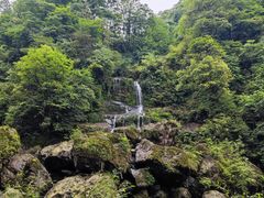 -龙苍沟森林公园