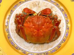 -王宝和酒家(黄浦店)