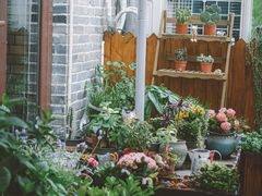 -IFIF 如果花園(宽厚里店)