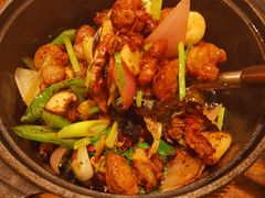 土鸡煲-铁公鸡·四川料理(天环广场店)