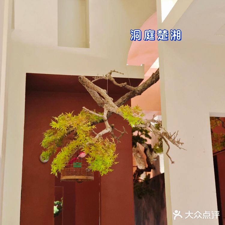 这一趟三地美食就都有 ▶️▶️下回必须尝尝这鱼