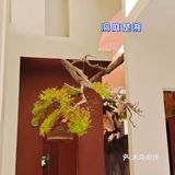 这一趟三地美食就都有   ▶️▶️下回必须尝尝这鱼