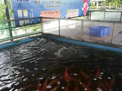 -伟记牛蹄(道滘店)