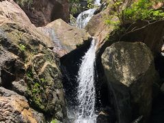-田心森林公园