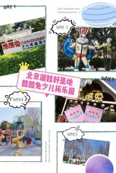 -酷酷兔少儿拓展天地