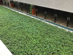 -上海虹桥国际机场1号航站楼-P2停车场