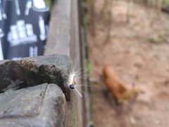 -普洱太阳河森林公园
