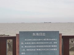 -上海滨江森林公园