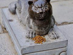 -西安大兴善寺