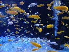 -成都浩海立方海洋公园