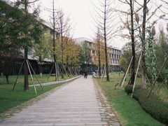 -铁山坪森林公园