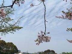 -新江湾城公园