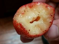 -心乐生活新鲜屋(星海广场店)