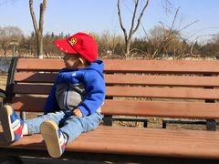 -大兴滨河森林公园