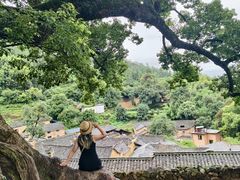 -杨家堂村