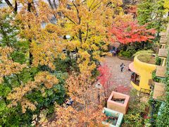 -三鹰之森吉卜力美术馆