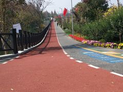 -上海长兴岛郊野公园