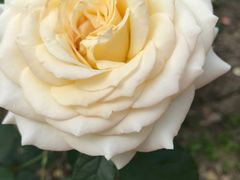 -苏州河梦清园环保主题公园