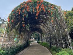 -天河儿童公园