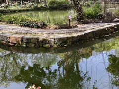 -绮园景区
