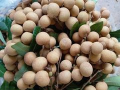 泰国龙眼-绿叶水果(开福区马栏山店)