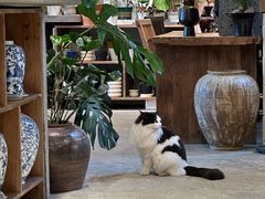 -自由生长植物工作室(深港花卉中心店)