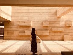 -盘龙城国家考古遗址公园