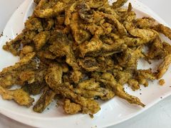 孜然蘑菇-马旭土鸡焖花卷新疆菜大盘鸡·真域顺西域美食(天马大道店)