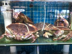-87号烧烤海鲜·大排档(金沙滩店)