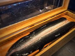 -银座苑烧肉酒场·烤活鳗(仙霞路店)