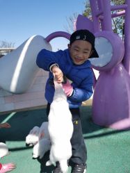 -季高兔窝窝亲子园(上海薰衣草公园店)