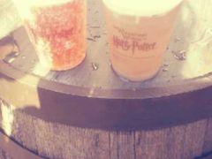 -奥兰多环球影城