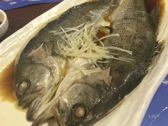 -YOYO悠游美食地图(西市城购物中心店)