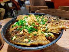 铁板鲫鱼-聚鑫朋酸菜肥肠(文艺路口店)