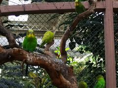 -南宫五洲植物乐园